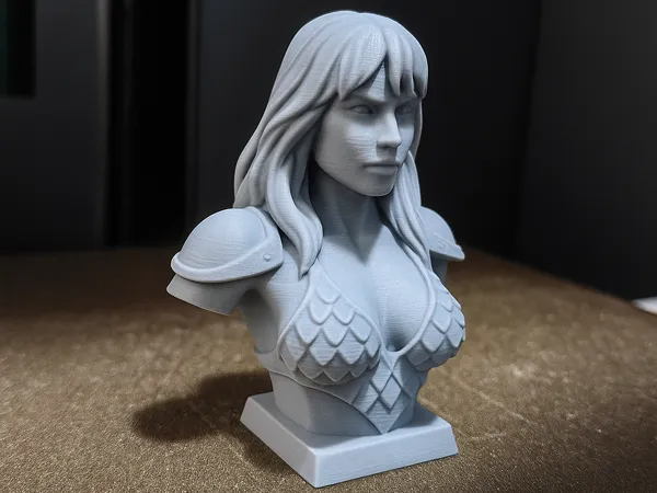 https://makerworld.bblmw.com/makerworld/model/DSM00000001632837/design/2025-07-23_c81e8772fb4178.png