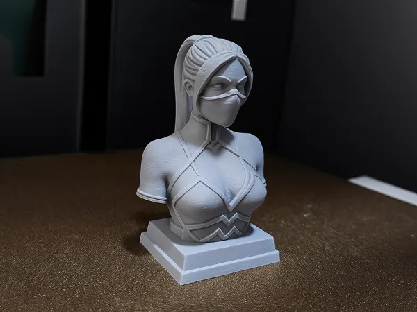 https://makerworld.bblmw.com/makerworld/model/DSM00000001632853/design/2025-07-23_075acb3d247ea.png