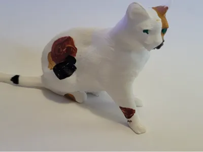Calico Cat