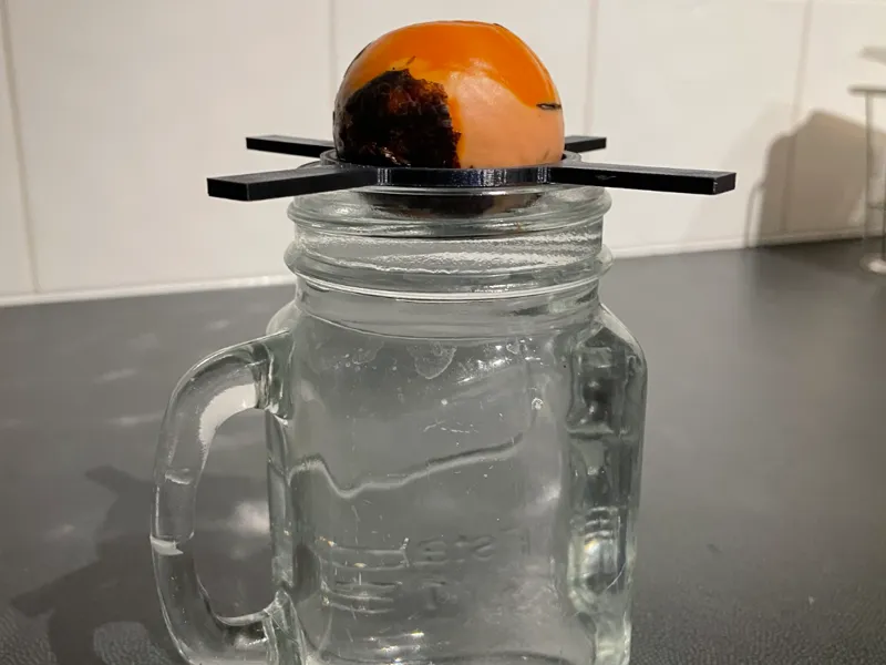 Avocado Seed Holder
