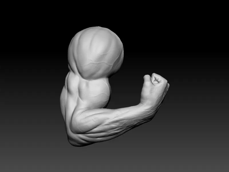 arm
