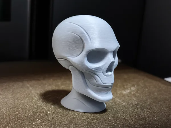 https://makerworld.bblmw.com/makerworld/model/DSM00000001635651/design/2025-07-24_793ecc6ab2a86.png