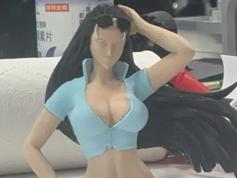 罗宾手办一体打印