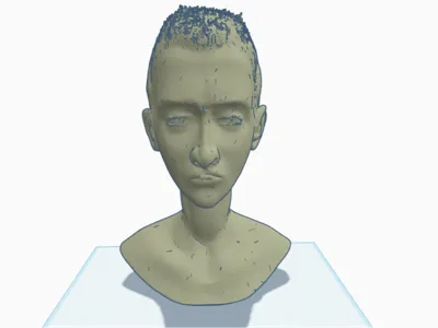 Bust of Boy
