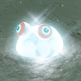 White Chuchu