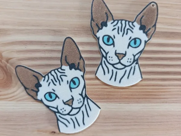 https://makerworld.bblmw.com/makerworld/model/DSM00000001638457/design/2025-07-25_0f71bc5565b78.jpg