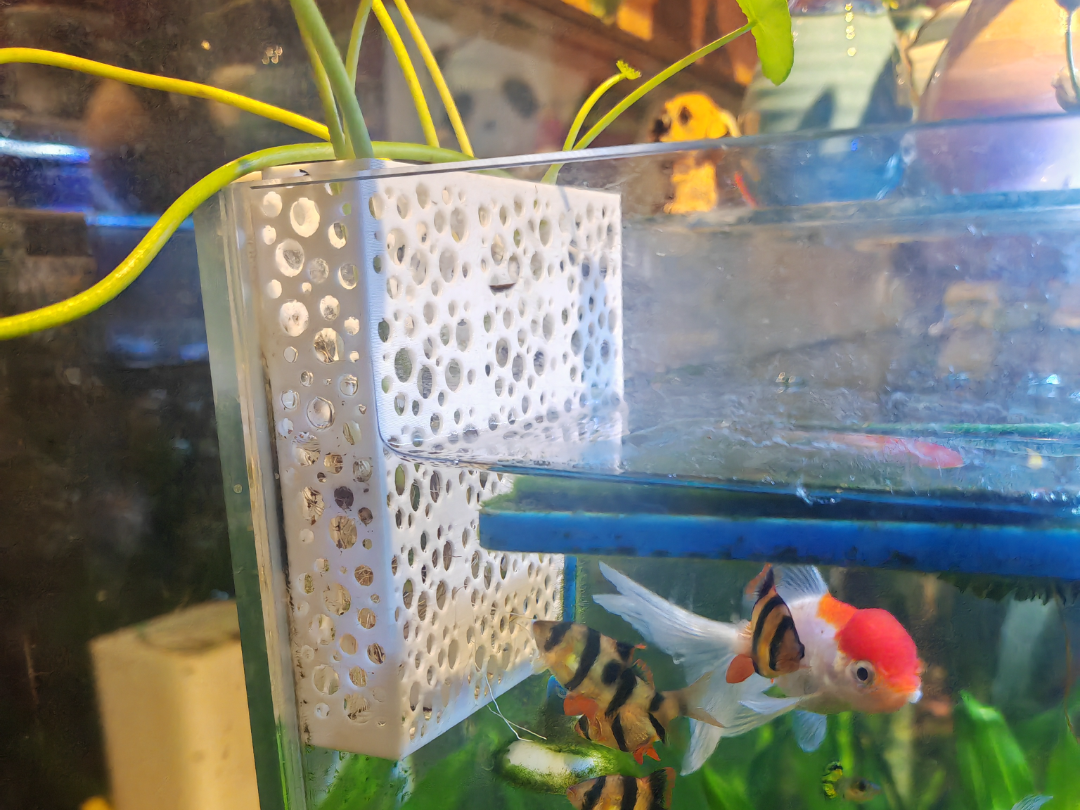 鱼缸侧壁绿植挂篮