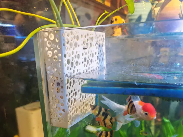 https://makerworld.bblmw.com/makerworld/model/DSM00000001640558/design/2025-07-26_0ebc2623909f58.jpg