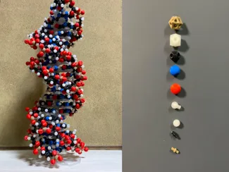 Ball-and-stick molecular model