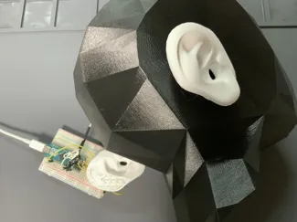 Ear