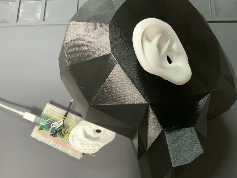 Ear