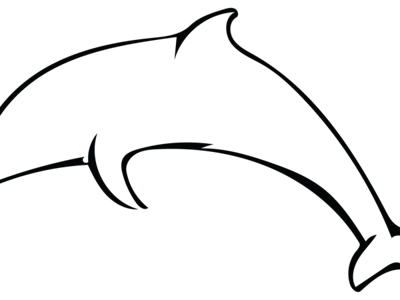 flexi dolphin keychain