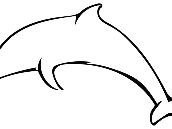 flexi dolphin keychain