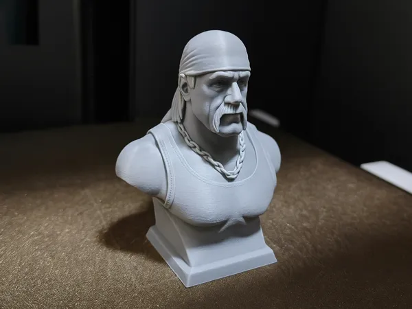 https://makerworld.bblmw.com/makerworld/model/DSM00000001642943/design/2025-07-27_22adb02dbf91c.png