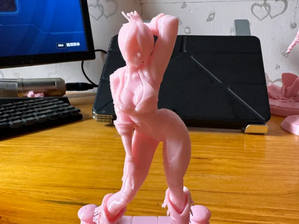 https://makerworld.bblmw.com/makerworld/model/DSM00000001644169/design/2025-07-27_d58685065a459.jpg