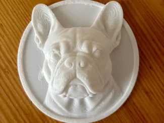 French bulldog