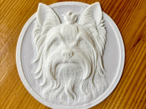 https://makerworld.bblmw.com/makerworld/model/DSM00000001647125/design/2025-07-28_115f247ee30cf.jpeg