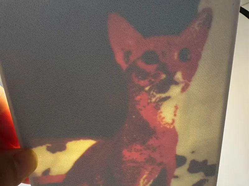 阿比西尼亚猫灯箱摆件