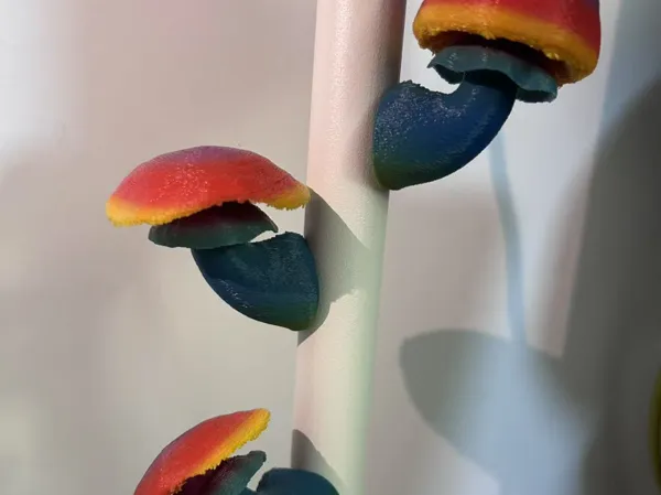 https://makerworld.bblmw.com/makerworld/model/DSM00000001647967/design/2025-07-28_fc0d3d685d8788.jpg