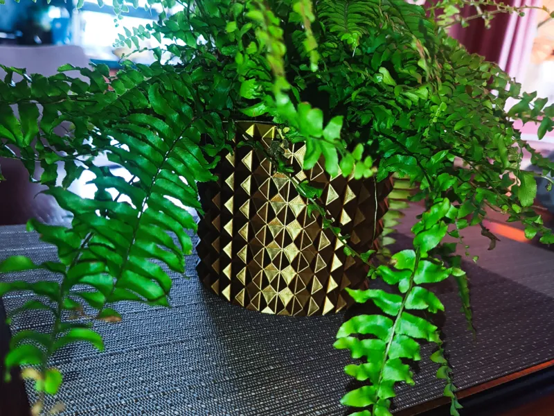 Flower pot