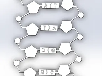 dna
