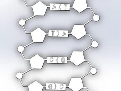 dna