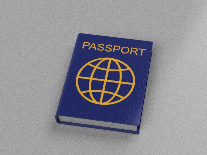 Passport keychain