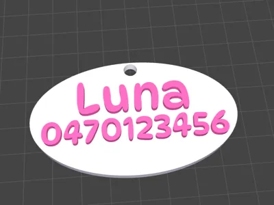 Pet Tag