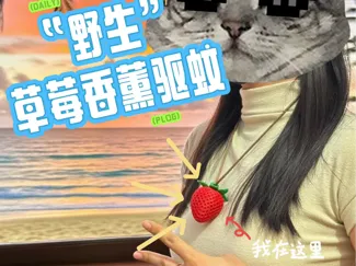 镂空草莓香薰驱蚊