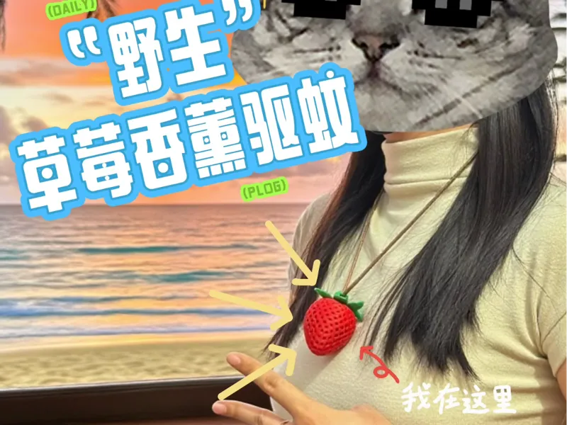 镂空草莓香薰驱蚊