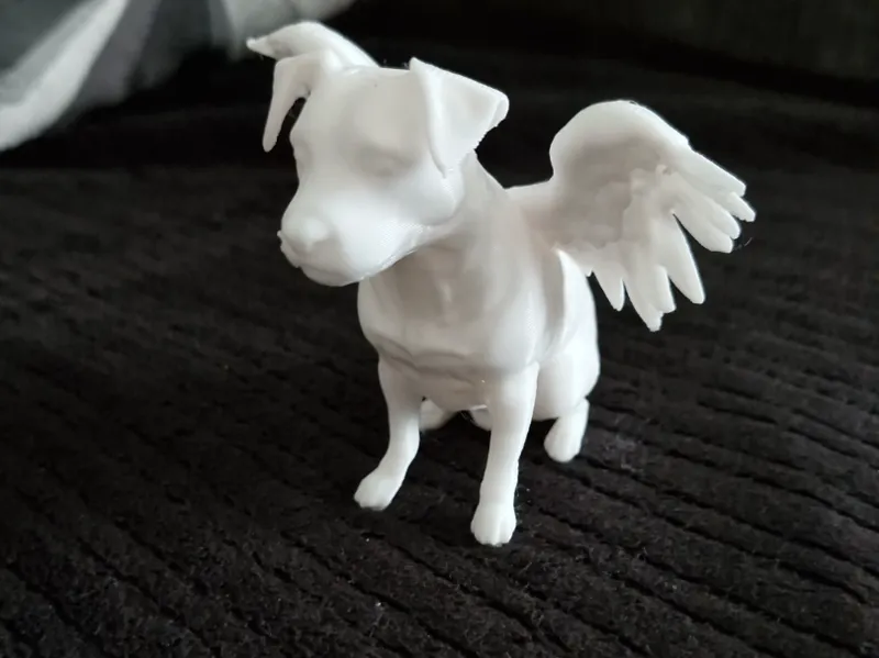 Dog with wings