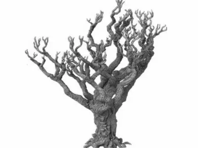 swamp tree 