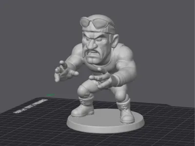 Hulk Hogan