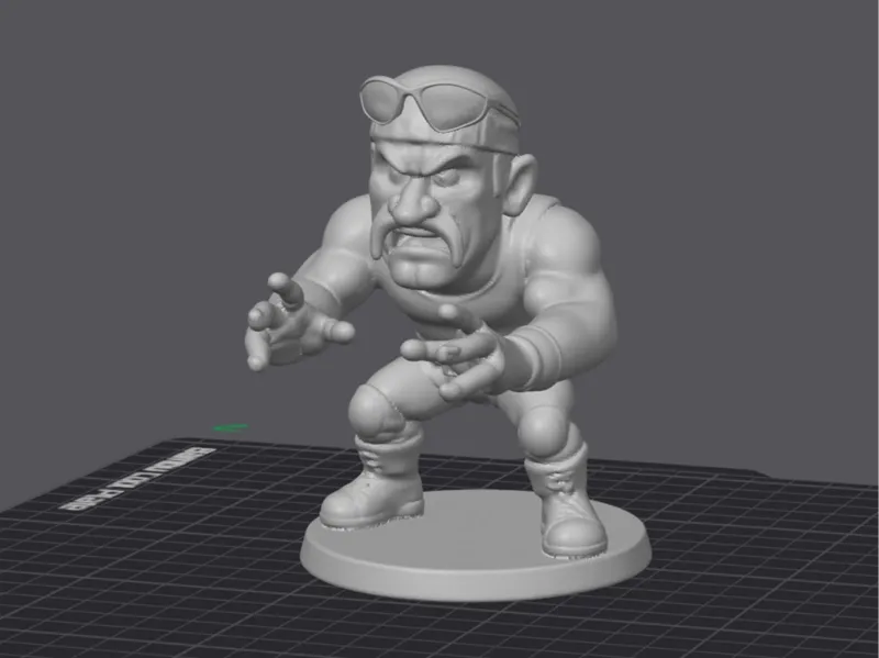 Hulk Hogan