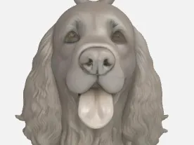 LLAVERO  SPANIEL