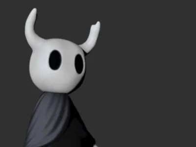 hollow knight