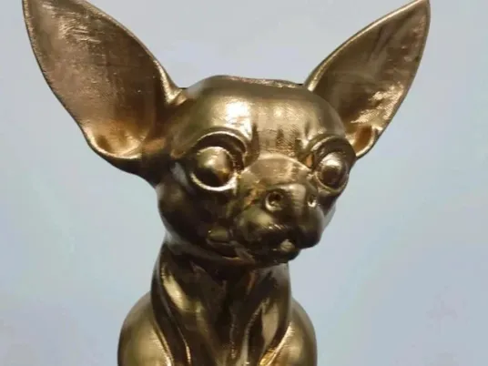 chihuahua