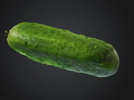 Cucumber