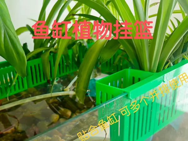 https://makerworld.bblmw.com/makerworld/model/DSM00000001661894/design/2025-08-02_6b7f5f8c20c5c.jpg