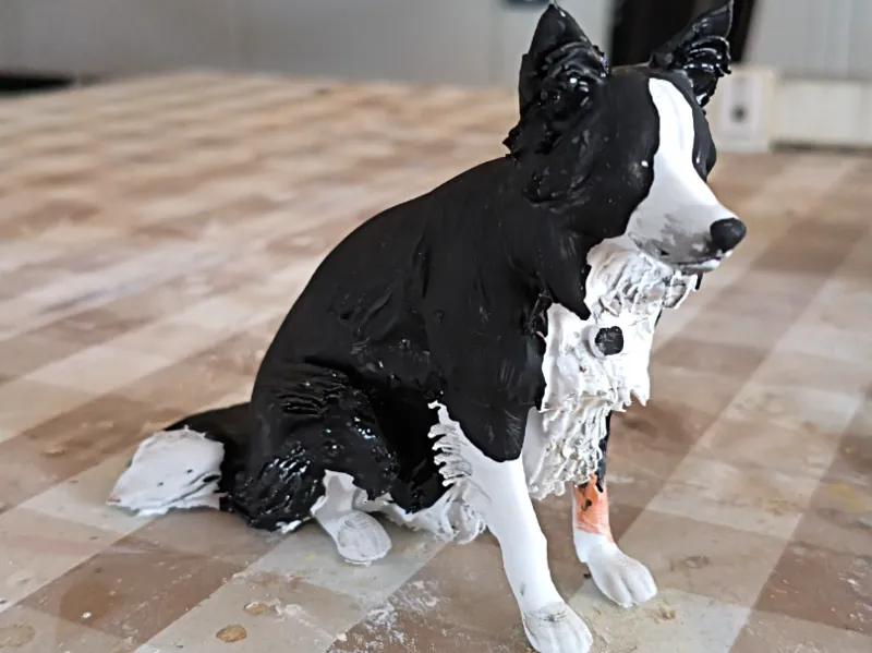 Border Collie