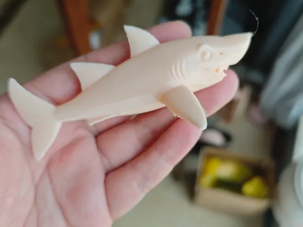 https://makerworld.bblmw.com/makerworld/model/DSM00000001662797/design/2025-08-02_01115c89a70db.jpg
