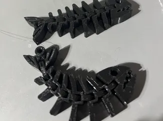fish fossils