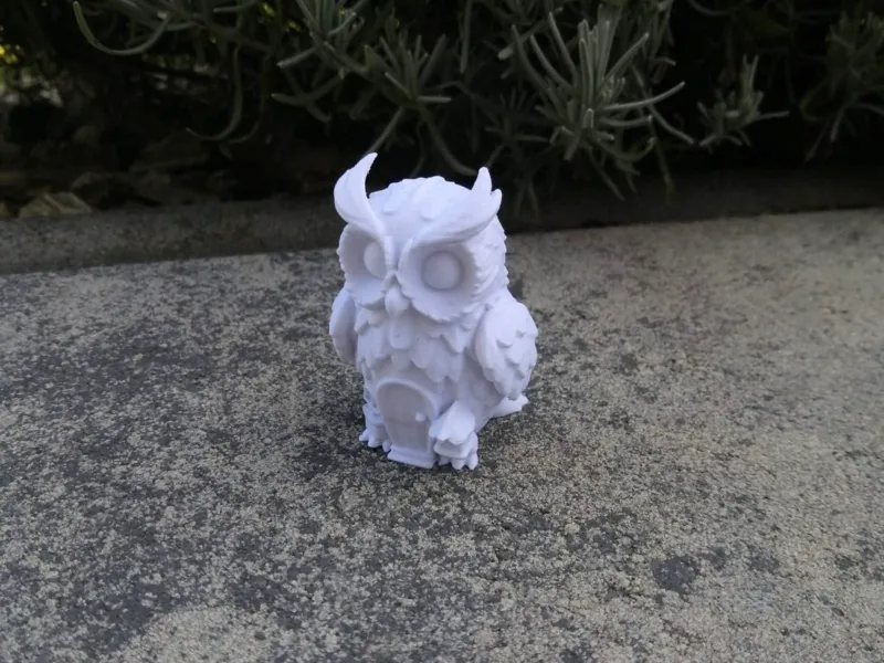 Owl House
