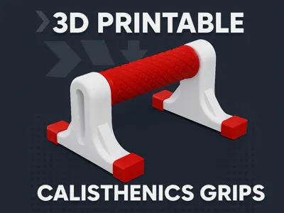 Calisthenics Grip/ Handle