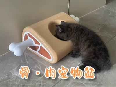 Ham Bone Pet Bowl (no AMS multi-color assembly, no glue required)