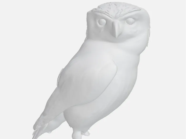 owl