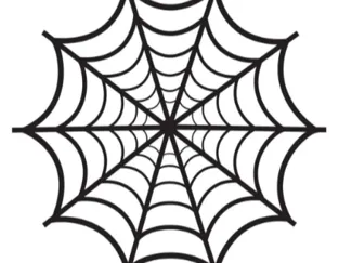 spiderman spiderweb
