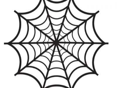 spiderman spiderweb