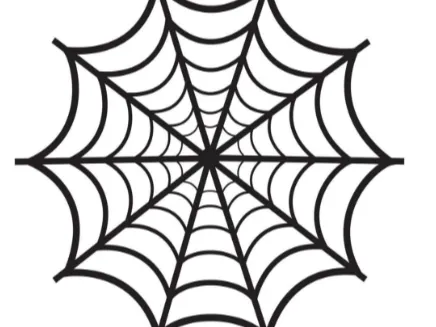 spiderman spiderweb