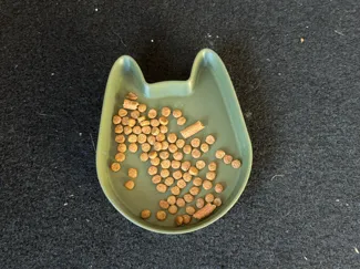 Katzen Fressnapf